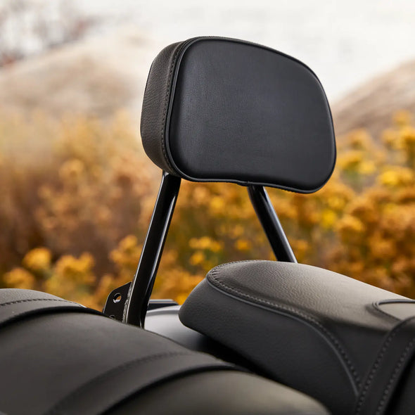 Syndicate Low Profile Passenger Backrest