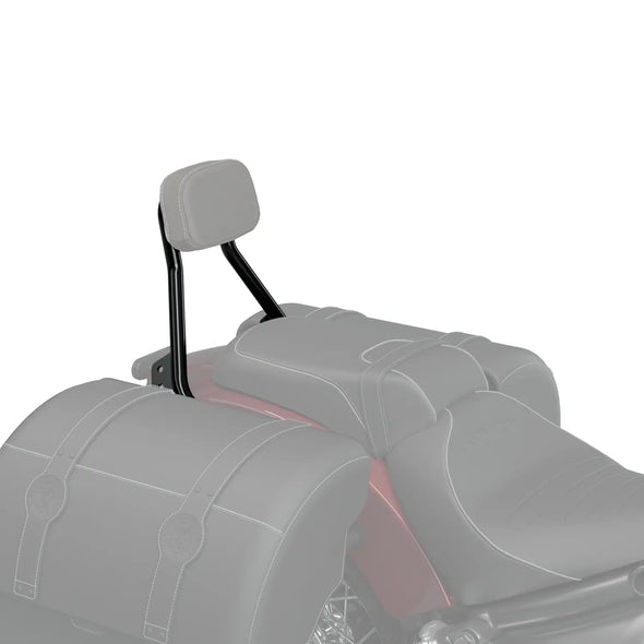 Syndicate Low Profile Passenger Backrest